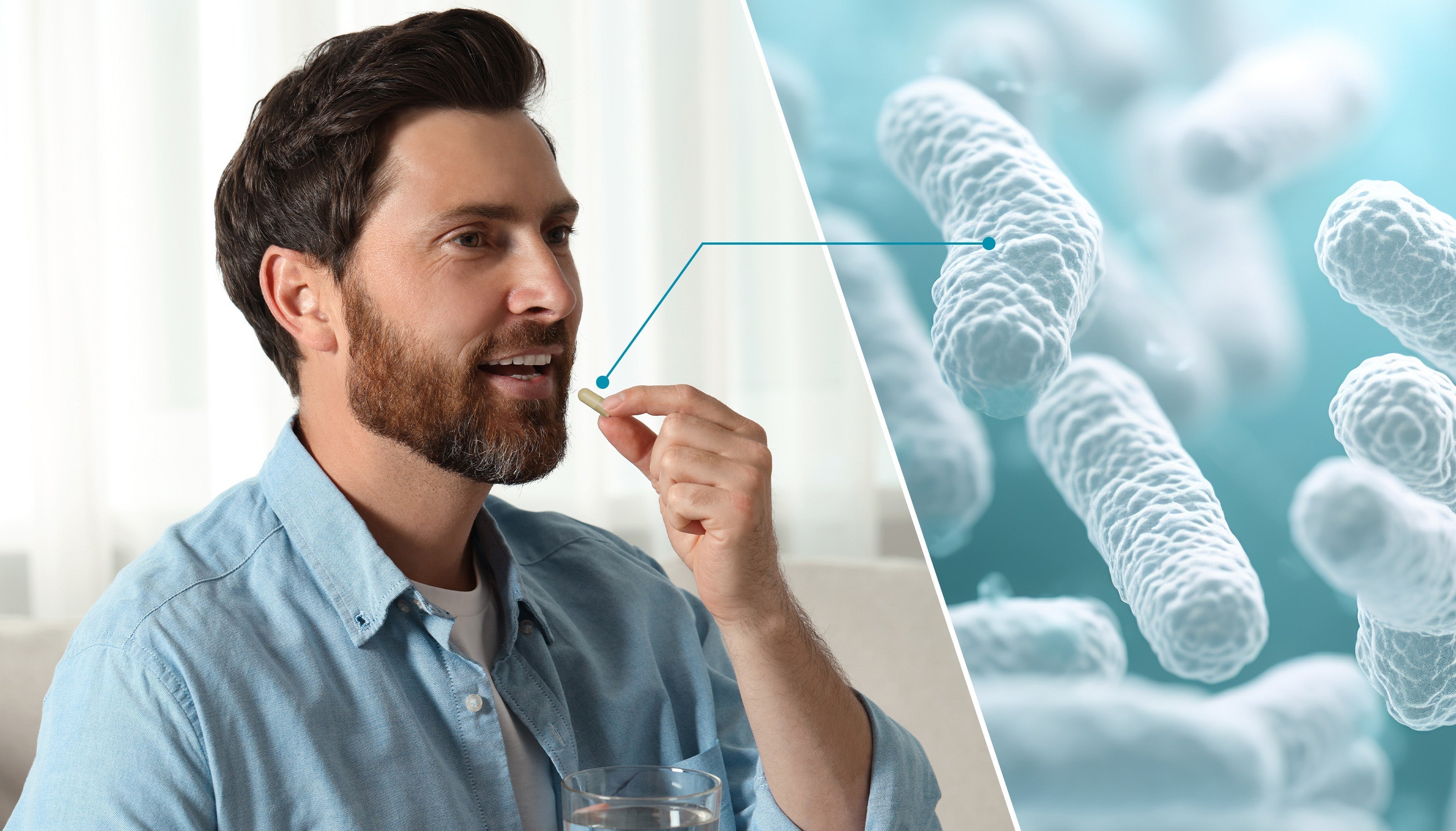 10 Health Benefits for<p>Men Taking Probiotics