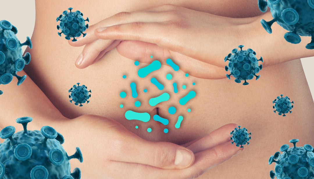How Probiotics Can Help Support<br>Your Immune System