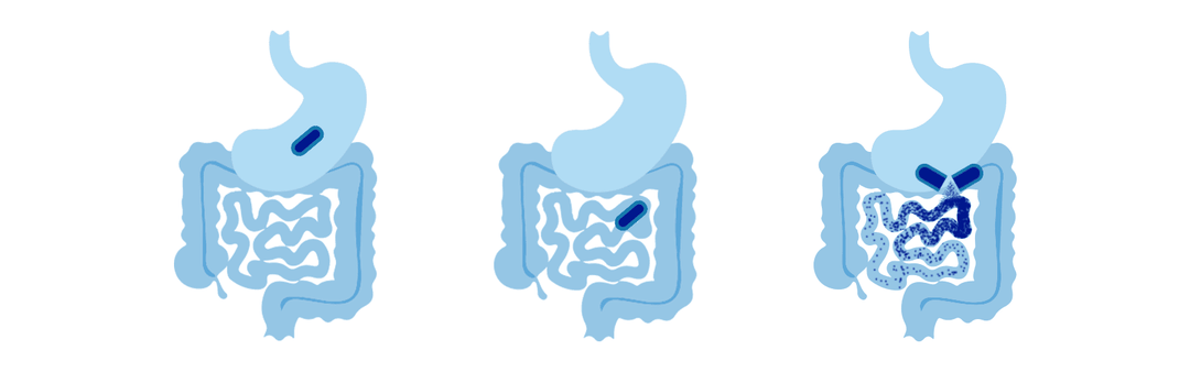 MAKTREK® Bi-Pass Technology in Dr. Tennant’s® GI 60 Probiotic Formula: A Smarter Approach to Probiotic Delivery for Digestive Health