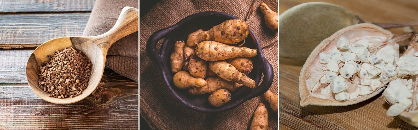 What are the Prebiotics in Dr. Tennant's® Probiotic Formula and How Do They Help?