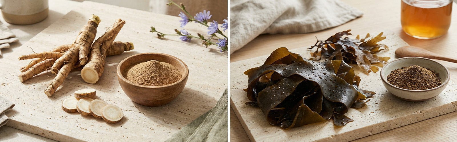 What are the Prebiotics in Dr. Tennant's® GI 60 Probiotic Formula and How Do They Help?