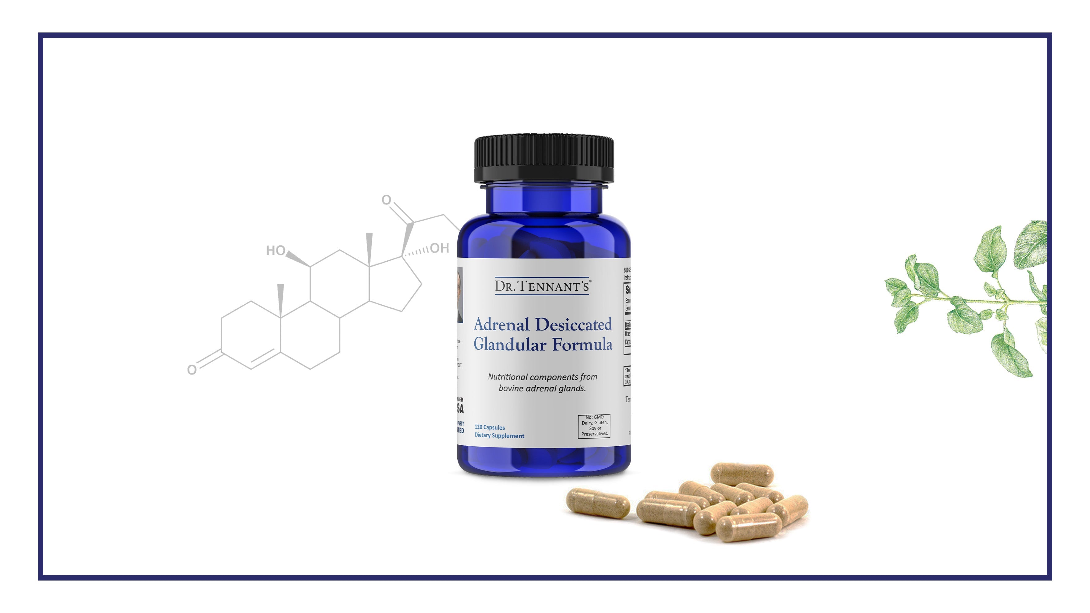 Guide to Taking Adrenal Desiccated</br>[Free Download]