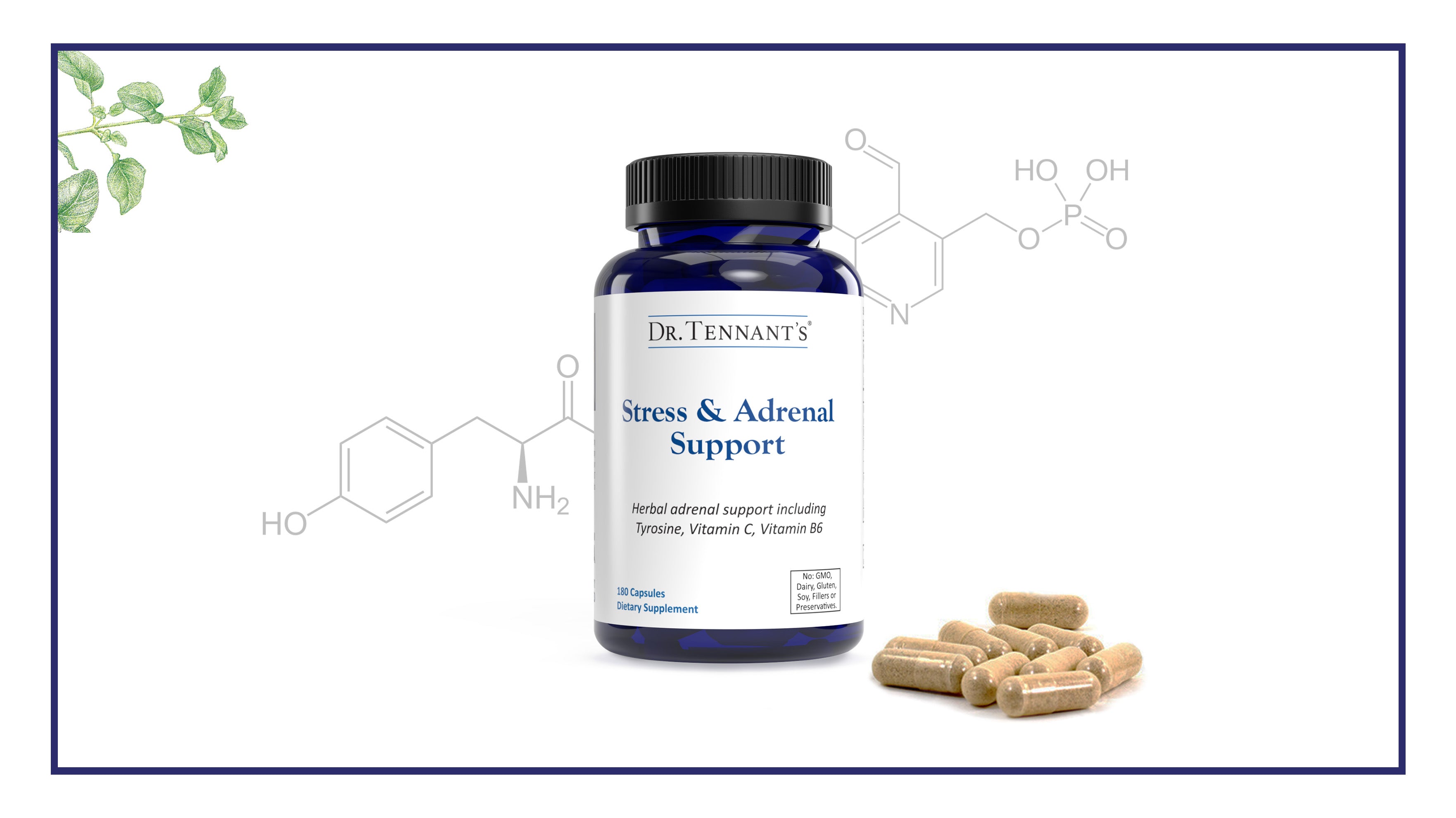 Guide to Taking Stress & Adrenal Support</br>[Free Download]