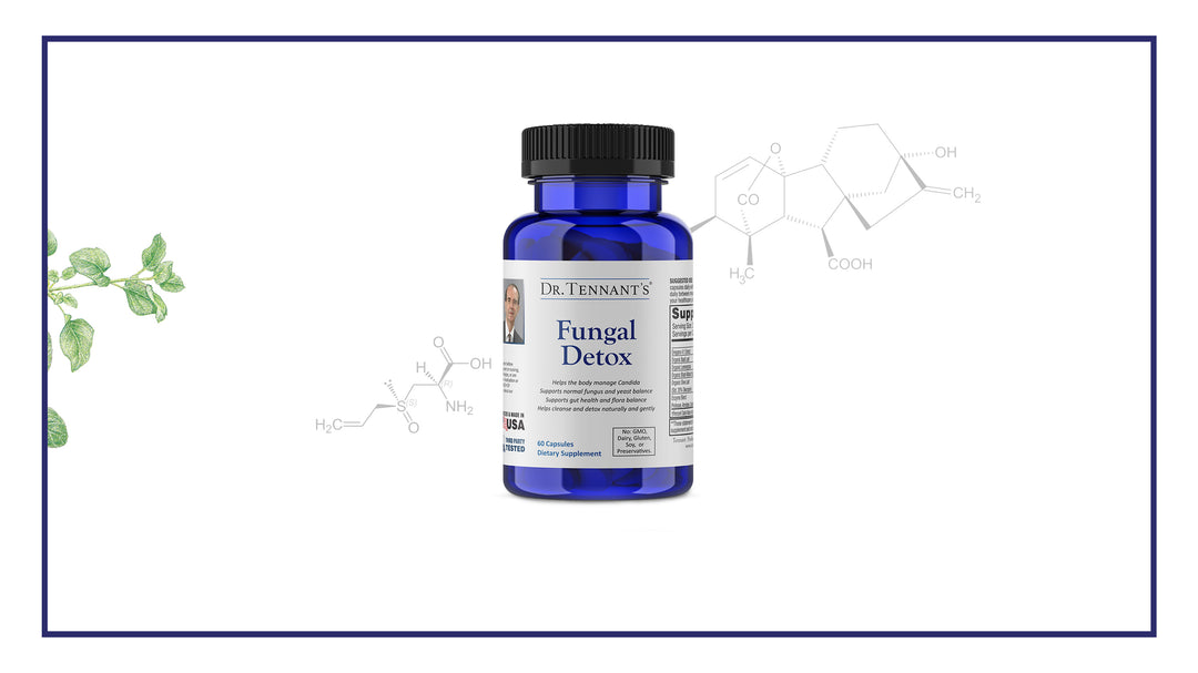 Guide to Taking Fungal Detox</br>[Free Download]