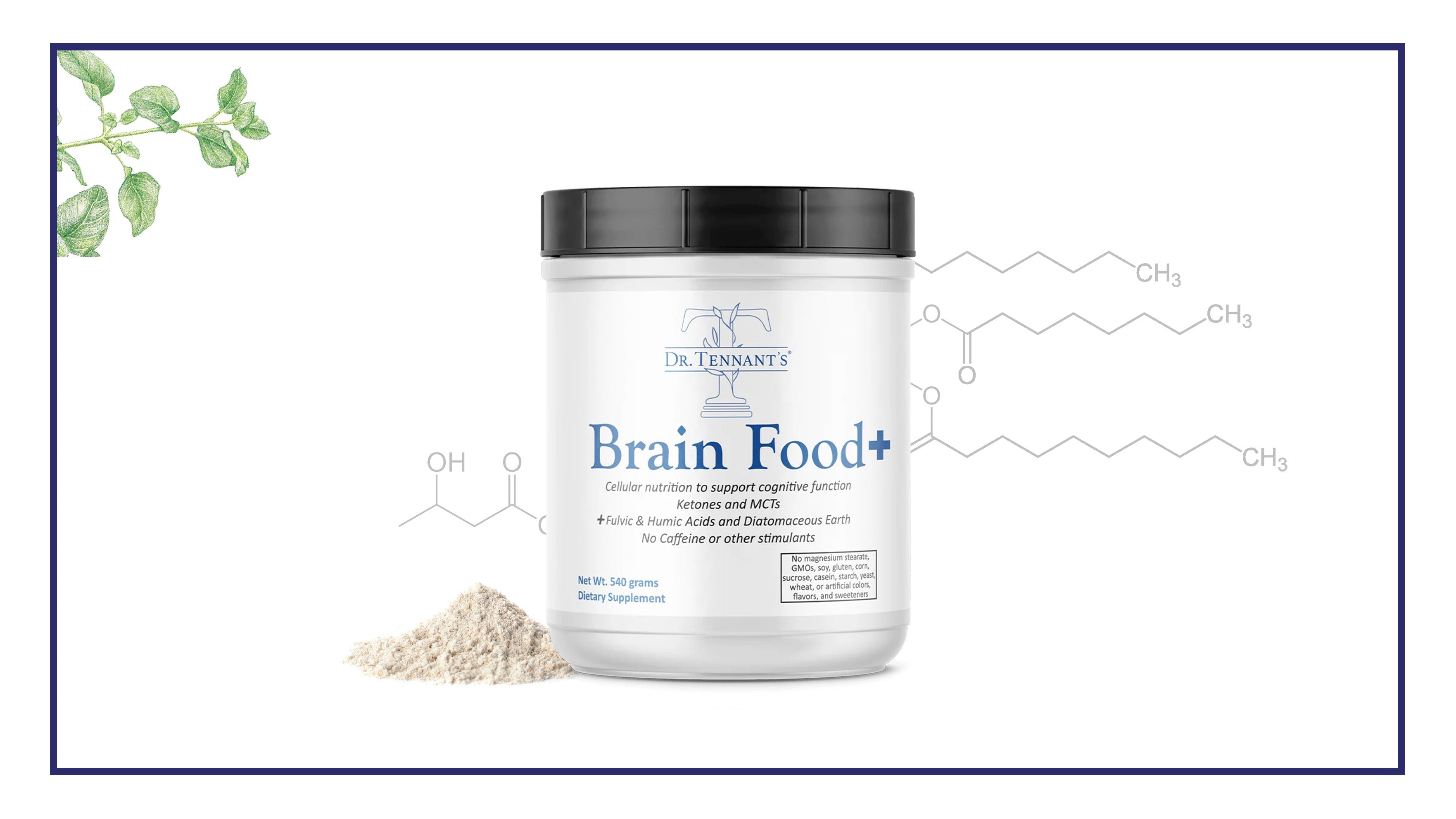 Guide to Taking Brain Food+<br>[Free Download]