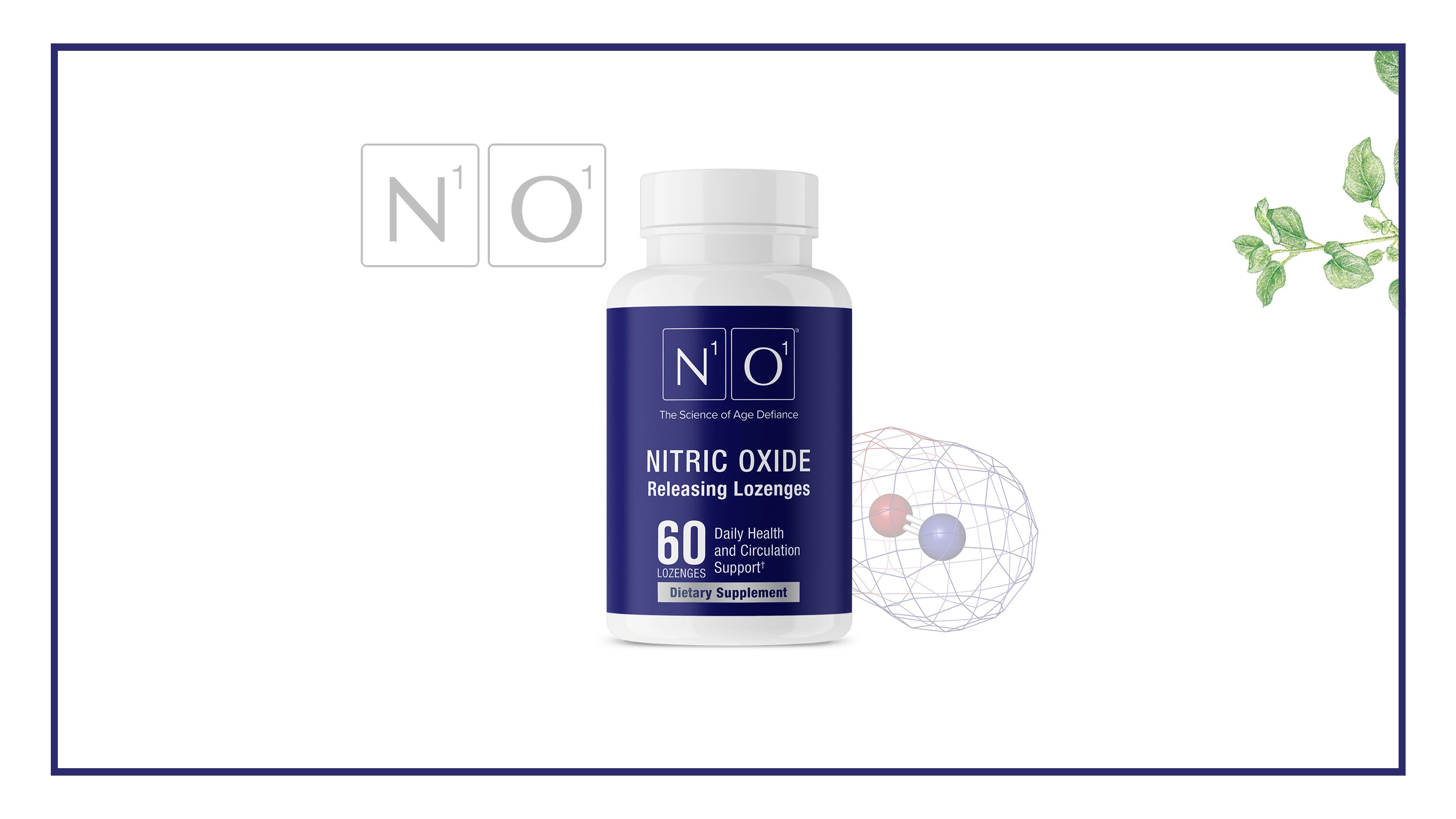 Guide to Taking Nitric Oxide (N1O1) Lozenges<br>[Free Download]