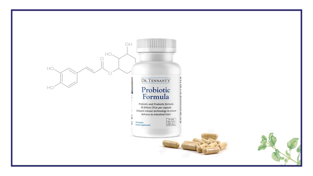 Guide to Taking Probiotic Formula</br>[Free Download]