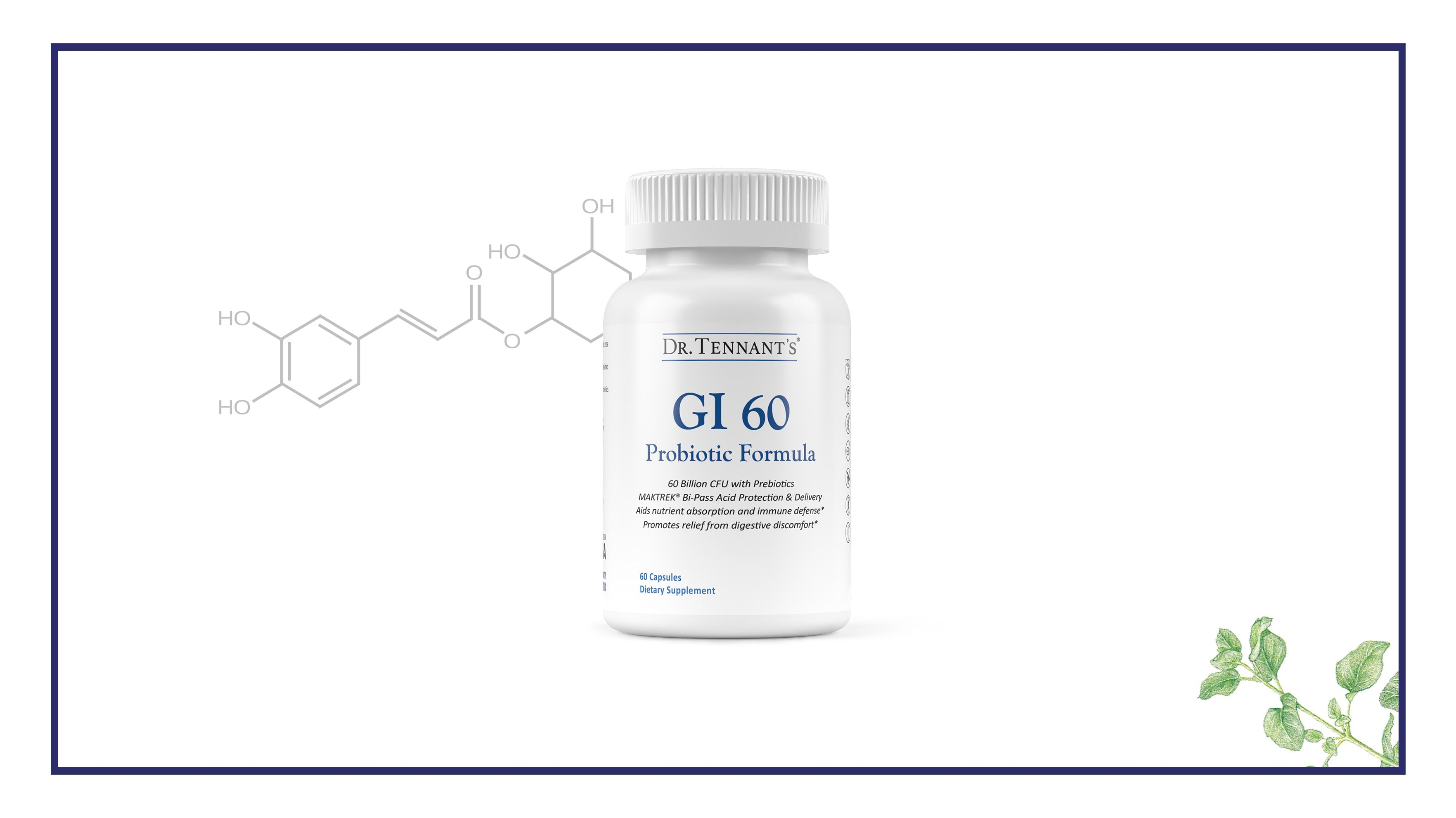 Guide to Taking GI 60 Probiotic Formula</br>[Free Download]