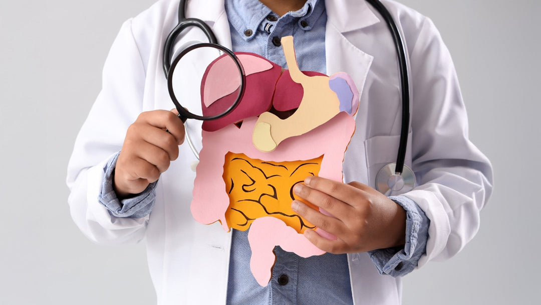The Importance of Gut Detoxification:<p> A Pathway to Health
