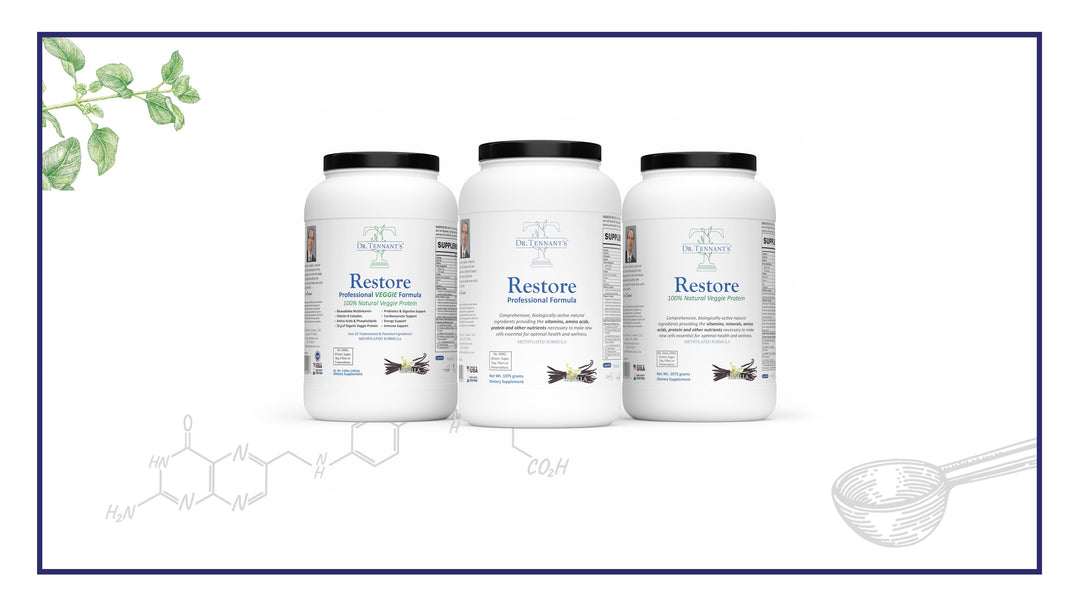 Guide to Taking Restore<br>[Free Download]