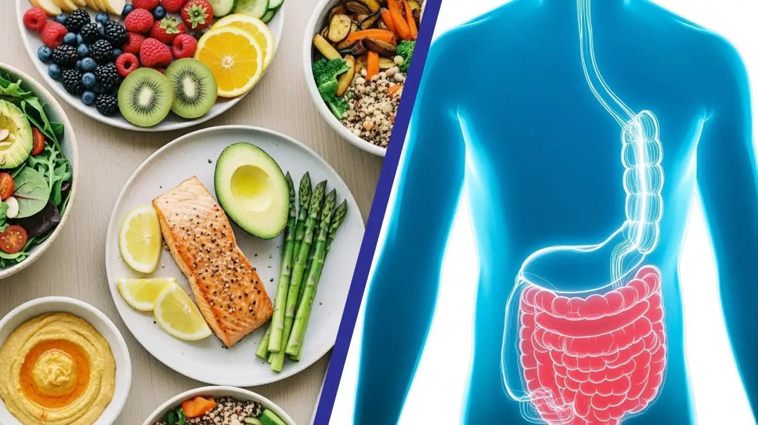 Healing from the Inside Out: The Role of Enzymes in Inflammation