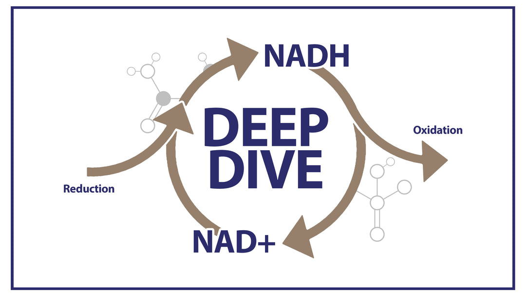 NADH Deep Dive<p>What You Need to Know