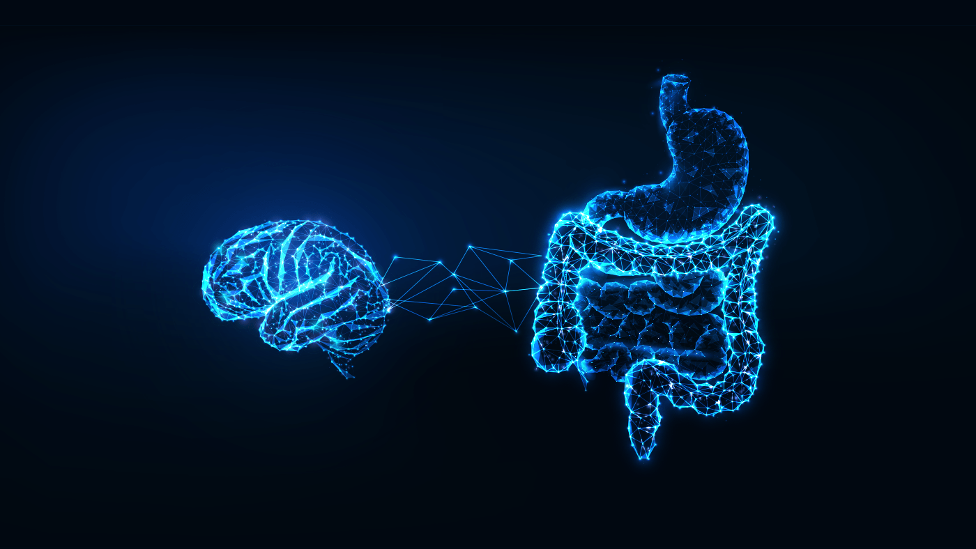 The Gut-Brain Connection