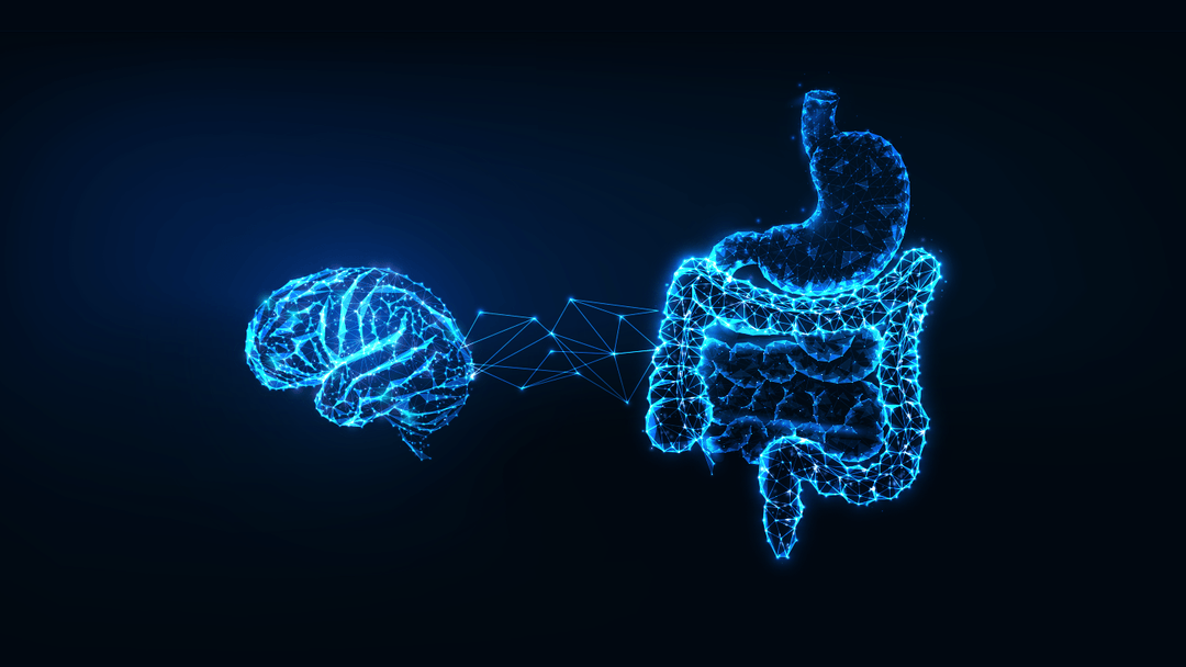 The Brain-Gut Connection