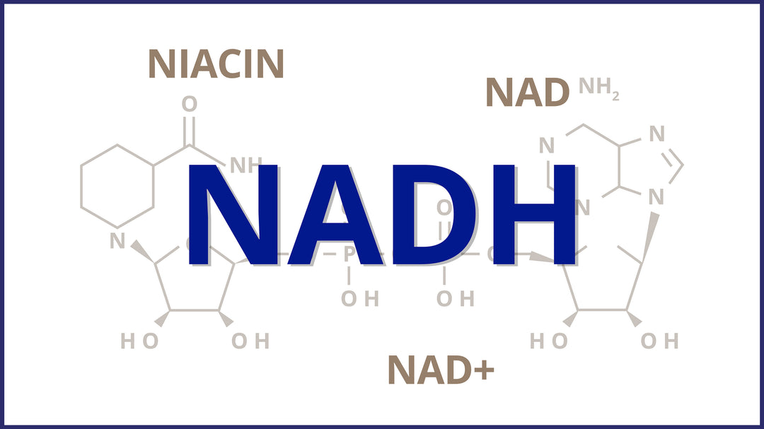 Unlocking the Power of NAD:<p>Your Guide to Understanding NAD+ and NADH and Cellular Energy